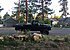 1979 Chevrolet C/K Truck 4x4 Regular Cab 1500 for sale 101241618